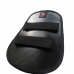 CASCO DE TATU PAR