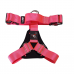 PEITORAL PARA PROTEÇÃO - MODELO PREDATOR K9 PRONTA ROSA (PRONTA ENTREGA)