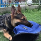 MEIA MANGA (TECIDO DE BITE) PRONTA ENTREGA