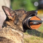 BITE ROLL MÉDIO SOFT (TECIDO DE JUTA) PRONTA ENTREGA