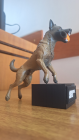 MINIATURA MALINOIS