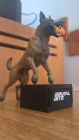 MINIATURA MALINOIS